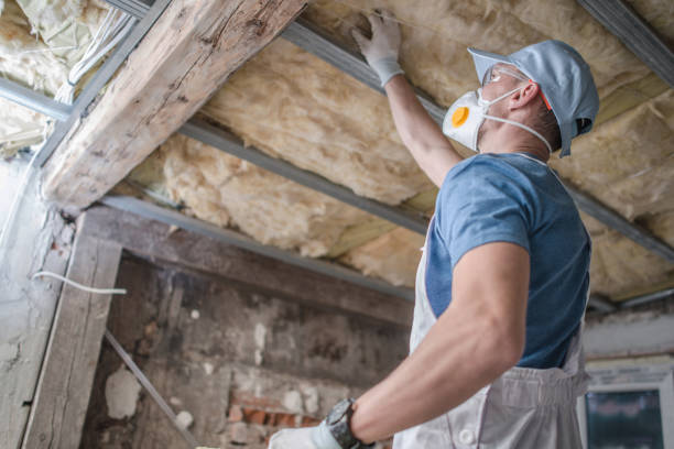 Best Specialized Insulation Services in Somers, MT