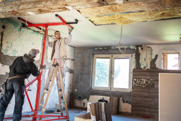 Best Cellulose Insulation in Somers, MT