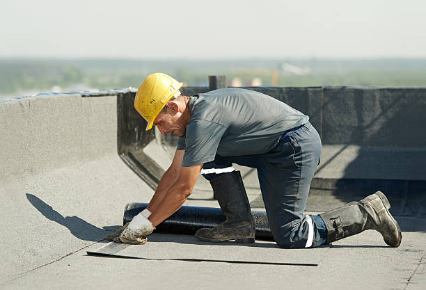 Best Geographic-Specific Insulation Services in Somers, MT